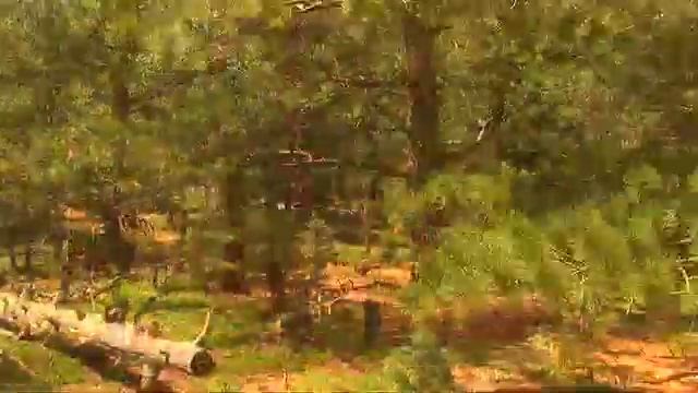 2007 Yeti commercial смотреть онлайн
