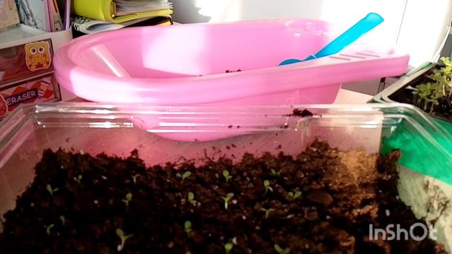 мой день 07.03.2025 смотреть онлайн