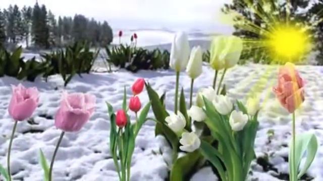"Весенний Калейдоскоп"!!! Весенний сад муз и исп. Нелли Хакель .Ст.Татьяны. Автор ролика . Zemfira смотреть онлайн