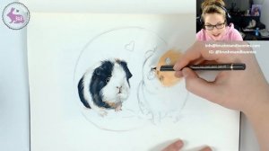 Drawing Guinea Pigs - Sketchbook Stream