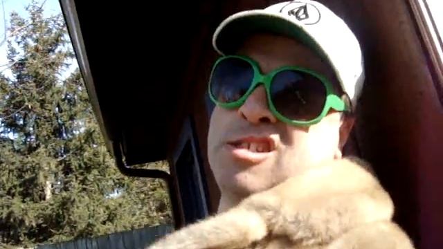 An Interior Crcocdile Alligator - Original Music Video