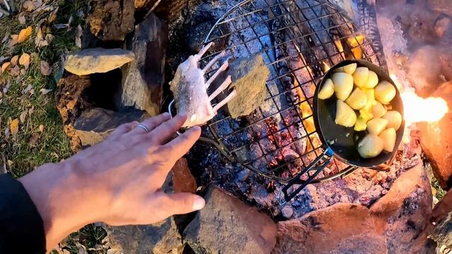 GREAT RACK Of Lamb