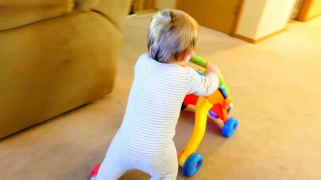 ASHER pt 1 Terras first vid смотреть онлайн
