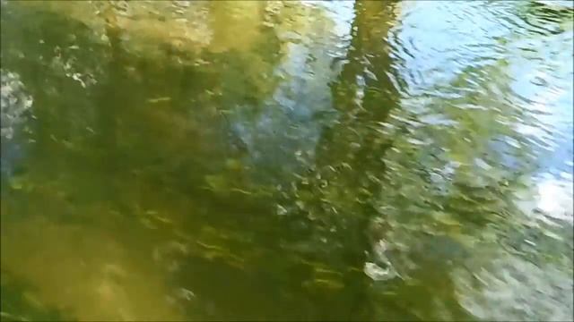 р.  Нежеголь