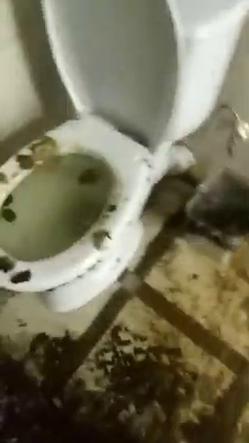 Пришел домой с работы,а там такое... смотреть онлайн