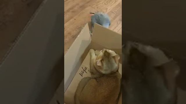 Всем хорошего настроения 😁😆 смотреть онлайн