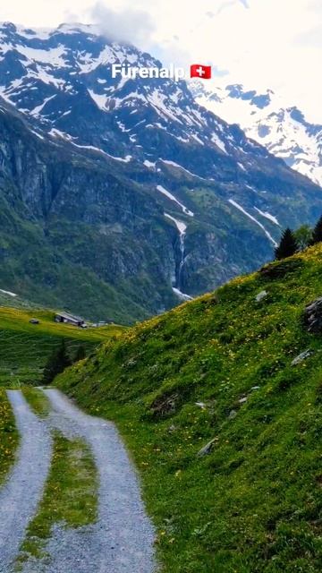 Fürenalp Hiking 🇨🇭 🌄 Waterfalls, Mountains, Medows, Cows, And Cheese #hiking #switzerland #shorts