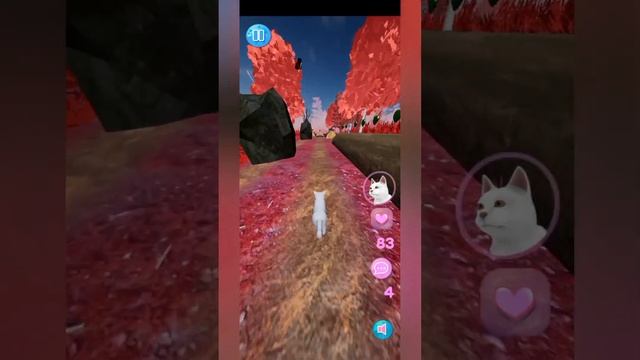 тигр играет в Sofia Run