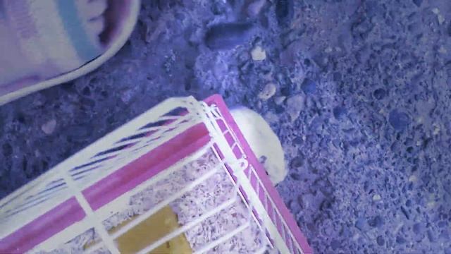 Гречка Мартини я на позитиве