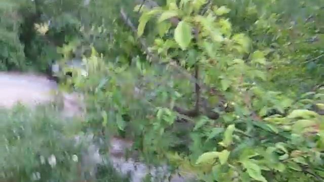 РЕП 22 Севастополь3