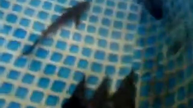 Самый простой УЗВ- 2014 год.