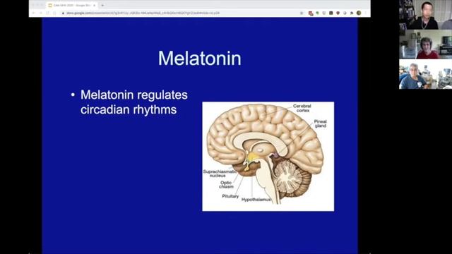 Alternatives to Healthcare - "Let's Have a Look-see" смотреть онлайн