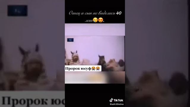 пророк Юсуф и пророк Якуб мир им обоим смотреть онлайн