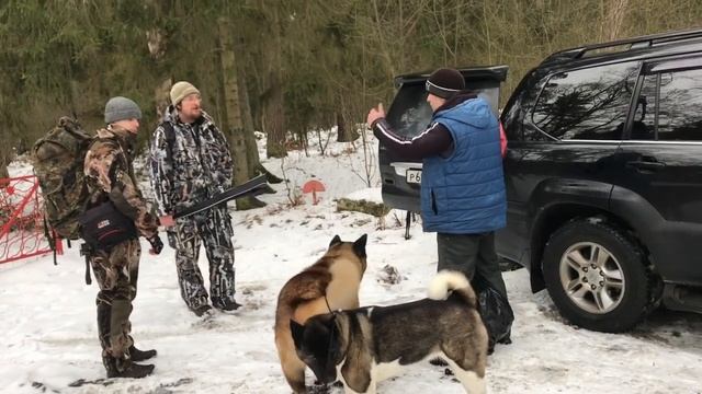 обычные прогулки смотреть онлайн
