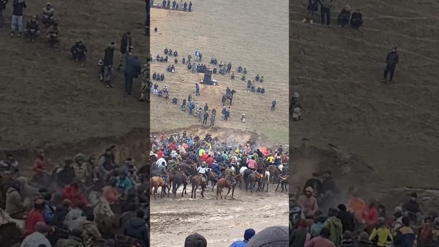 бузкаши н панч майдони кирпич завод Ривоч н панч бо аспи акай тохир н дусти асп бо лакаби ахилес смотреть онлайн