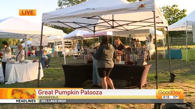 Great Pumpkin Palooza