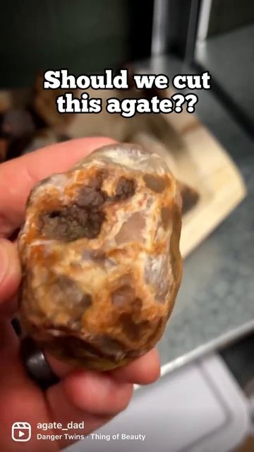 YES or NO?? Should we cut it?! смотреть онлайн