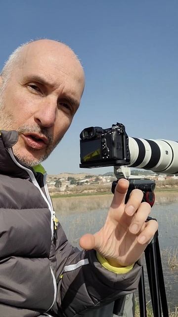 GRABAR AVES EN VUELO🎥🦅