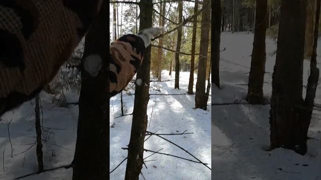 Заготовка веток для розжига костра