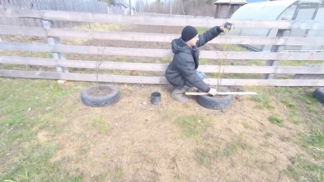 Эксперимент , выращиваем кусты по новой техологии смотреть онлайн