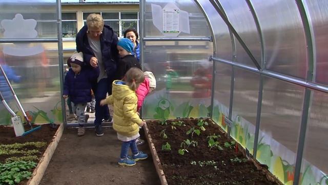 Šiltnamį Laimėję Vilniaus Darželinukai Kartu Su Meru Sodino Daržoves