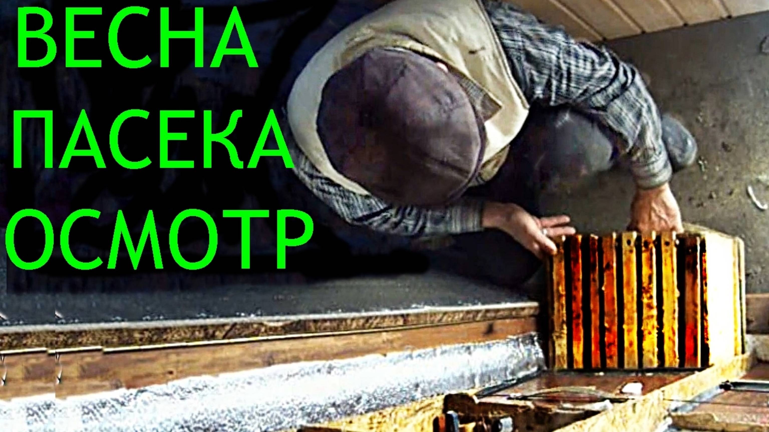 🐝Пчелы,осмотр,сокращение гнезда.6 марта 25г смотреть онлайн