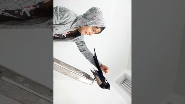 Нашли сороку!!часть 1 смотреть онлайн