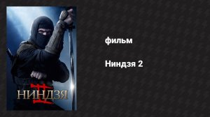 Ниндзя 2 (фильм, 2013)