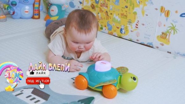 ЛИНКИМАЛС ЧЕРЕПАХА, linkimals Turtle / LEONARDO BOY