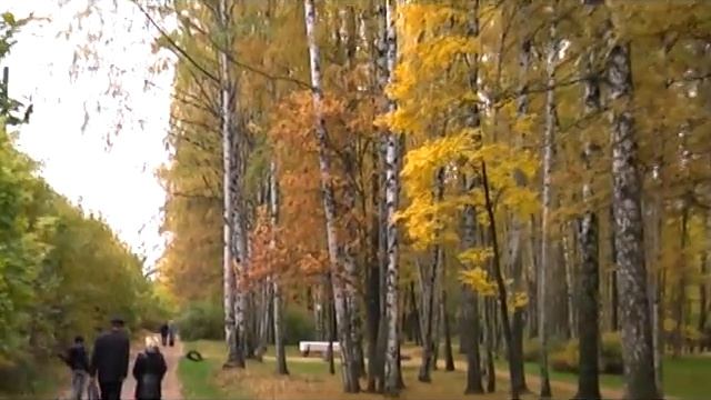 про осень.mpg смотреть онлайн