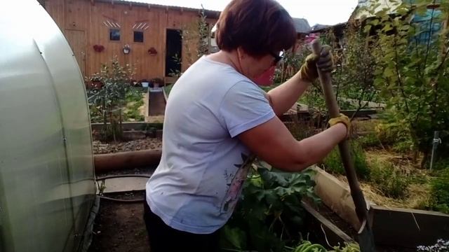 Пора убирать свеклу,морковь,кабачки.Хранение.Арбузы на Урале растут👍😁 смотреть онлайн