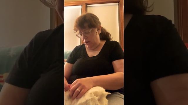 Kaye's Guinea Pigs is live! смотреть онлайн