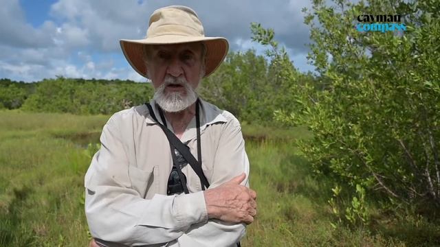 Mangrove Rangers Advocate For The ‘heart Of Cayman’