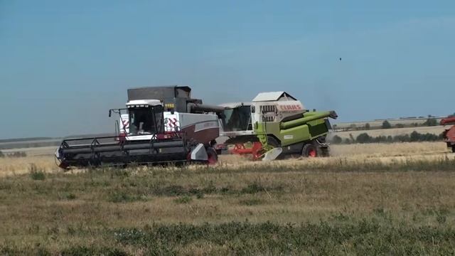 Жатва 2012 смотреть онлайн