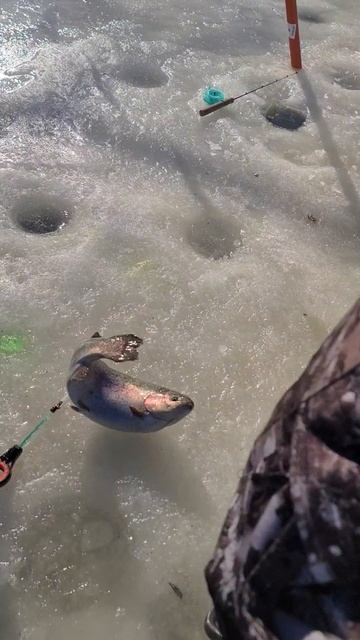 На актив смотреть онлайн