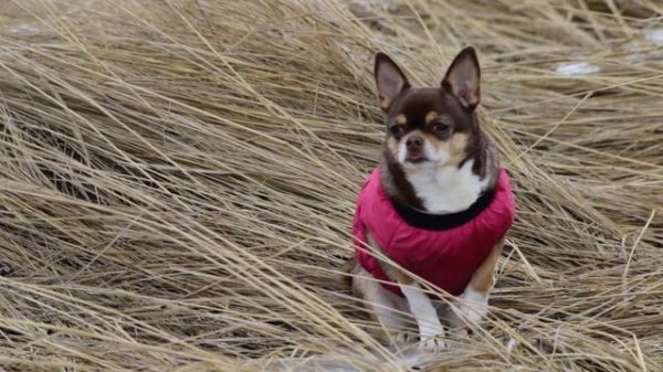 1 Марта2025  Первый день весны.