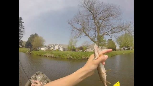 Lure Fishing #5 3 Northern on a Original Rapala смотреть онлайн