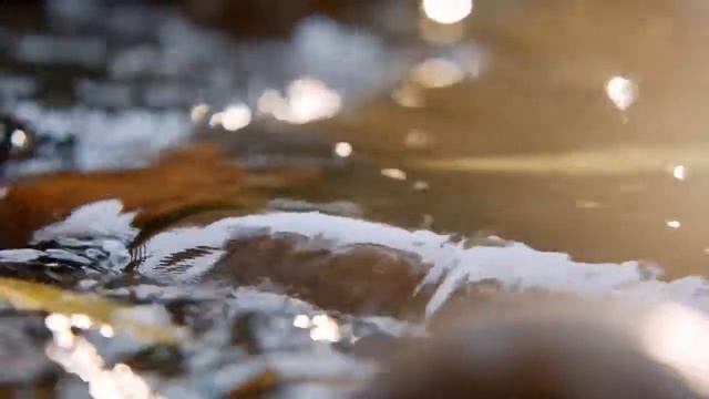 Звуки води для сну - Білий шум - Розслаблюючі звуки при розладі сну смотреть онлайн
