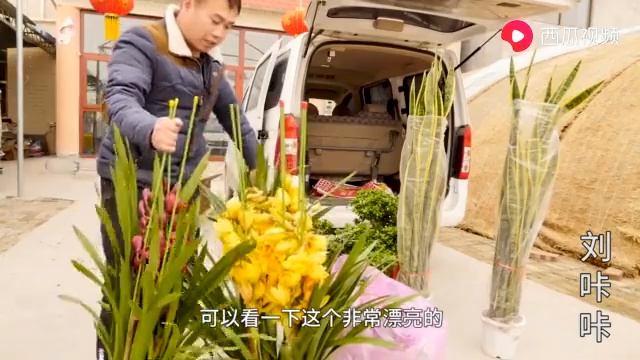 【小花匠】多年買花經驗，告訴你現在買的花卉最便宜 смотреть онлайн