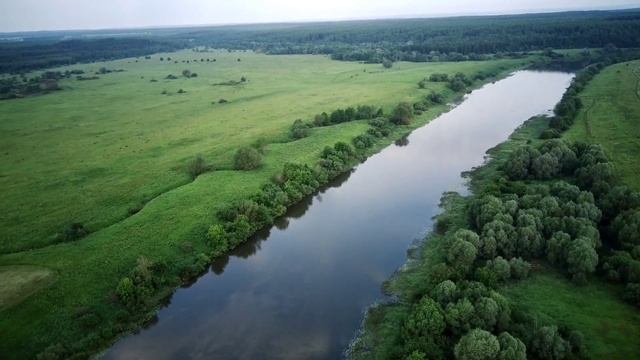 Деревья Варушицы - село Гремячево (июль 2021г.,очень опасно летать, ястребы)!!!!! смотреть онлайн