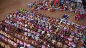 LPS: МОЯ КОЛЛЕКЦИЯ LPS!