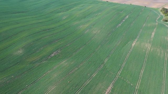 sosh10 смотреть онлайн