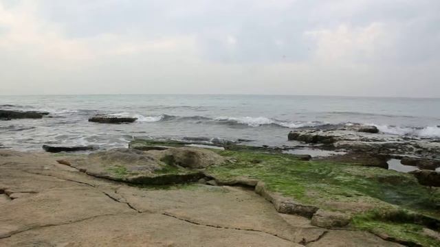 шум моря смотреть онлайн