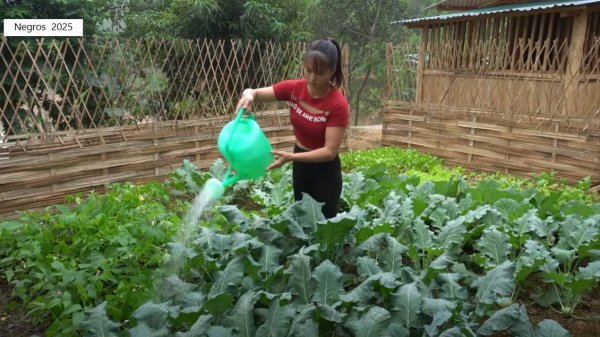 Дорис строит дом 13. Дорис строит душевую кабину из бамбука.