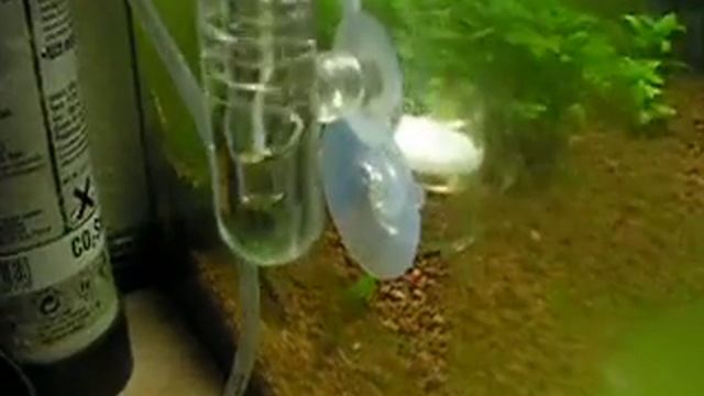 Co2 setup смотреть онлайн