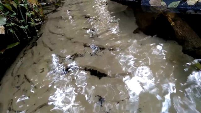 балкон смотреть онлайн