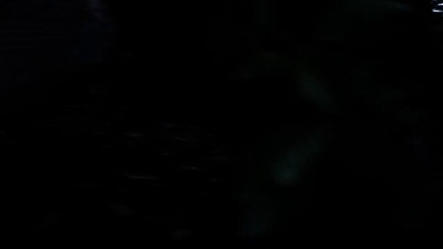 САМВЕЛ ОПОЗОРЕН В ПОДВАЛЕ СТАЛИНКИ смотреть онлайн