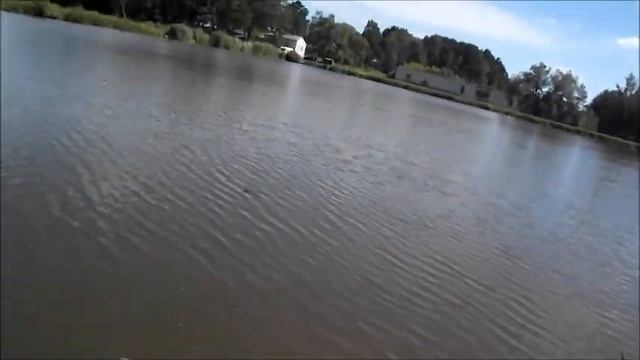 KARP 15 Kg  /Życiówka/ HOL (odc.13)