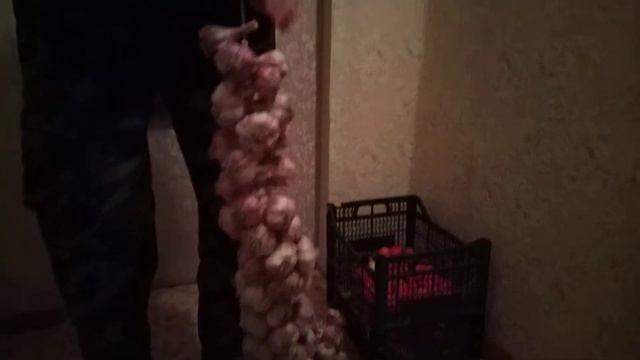 ещё один способ хранения чеснока