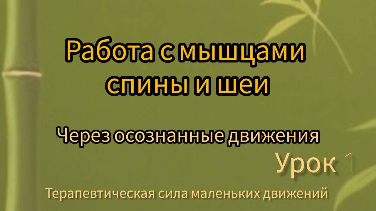 Работа с мышцами спины и шеи через осознанные движения. Терапевтическая сила маленьких движений.